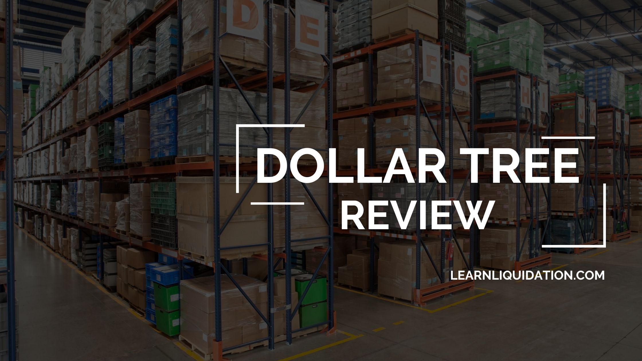 Dollar Tree Review A Detailed Guide With Alterntives 2024 Learn   Dollar Tree Review 